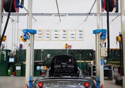 lotus11_IOK