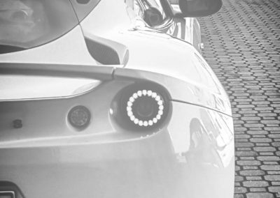 lotus2
