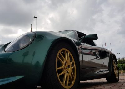 lotus4