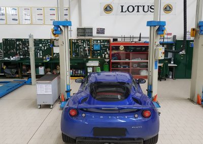 lotus8