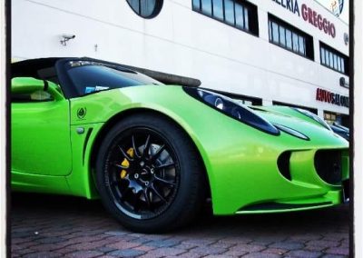 lotus_verde