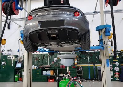 tagliandi_lotus